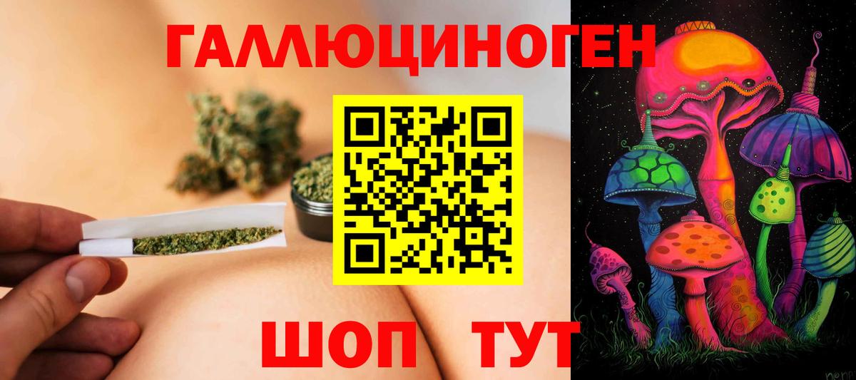 Псилоцибиновые грибы Psilocybine cubensis  Вход с VPN  Вичуга  Псилоцибиновые грибы мицелий 