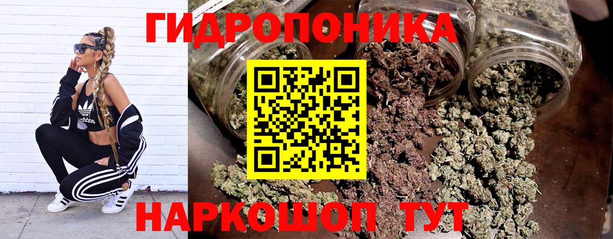 Каннабис Bruce Banner  Марихуана индика  Бошки Шишки планчик  Вичуга  Вход с VPN  Канабис Bruce Banner 